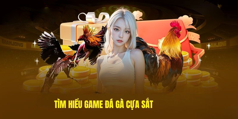 Trận chiến gà cựa sắt thường rất chóng vánh và kịch tính